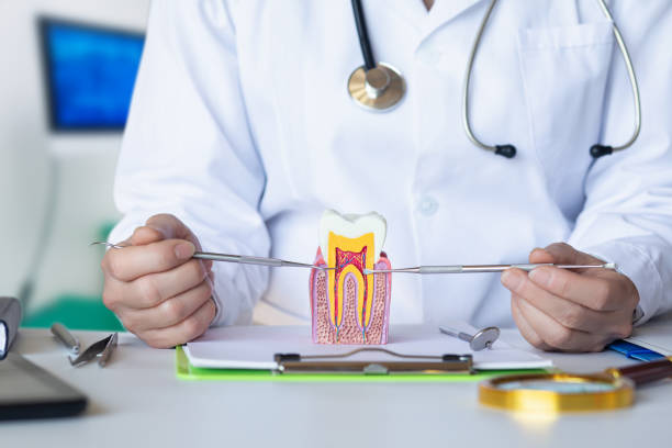 Best Cosmetic Emergency Dentistry in Santee, SC